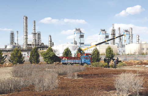 满堂彩游戏平台展示